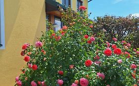 Summer Wine
